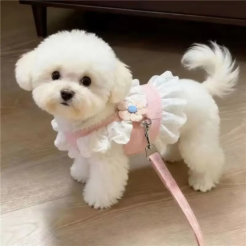 Dog Supplies Pet Harness Leash Princess Cat Dress Costumes Nylon Kittten Dress Puppy Harness for Rabbit Teddy Cats Clothes