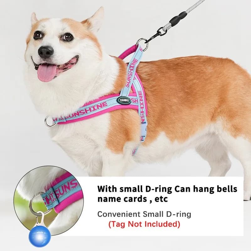 Imbracatura pettorale per animali domestici stile gilet Cintura pettorale comoda e resistente Corda per cani da passeggio per cani Gatti Accessori per animali domestici