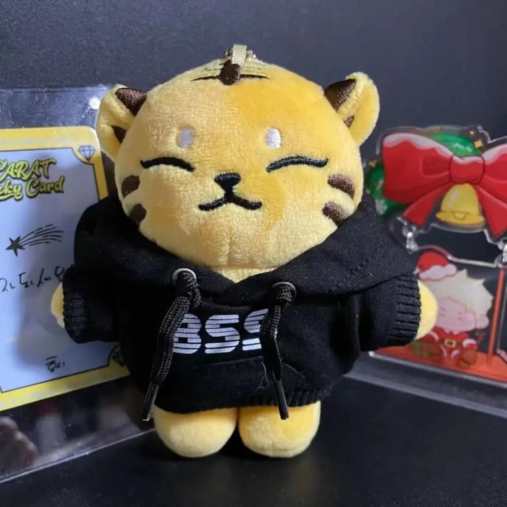 Kpop Idol BSS vestiti per bambole giocattolo per bambini per bambole da 10/20cm felpe con cappuccio fatte a mano vestiti felpa abiti