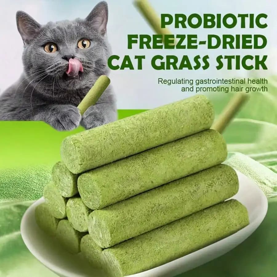 100 g (20 pezzi) Bastoncini di erba per gatti contro le boche di pelo - Snack liofilizzati per gatti, granuli istantanei e compresse di crema per il pelo