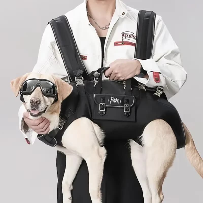 Oxford Dog Backpack Strong Bearing Capacity Pet Outdoor Portable Bags Dog Accessories Pet Supplies Comfortable Carrier for