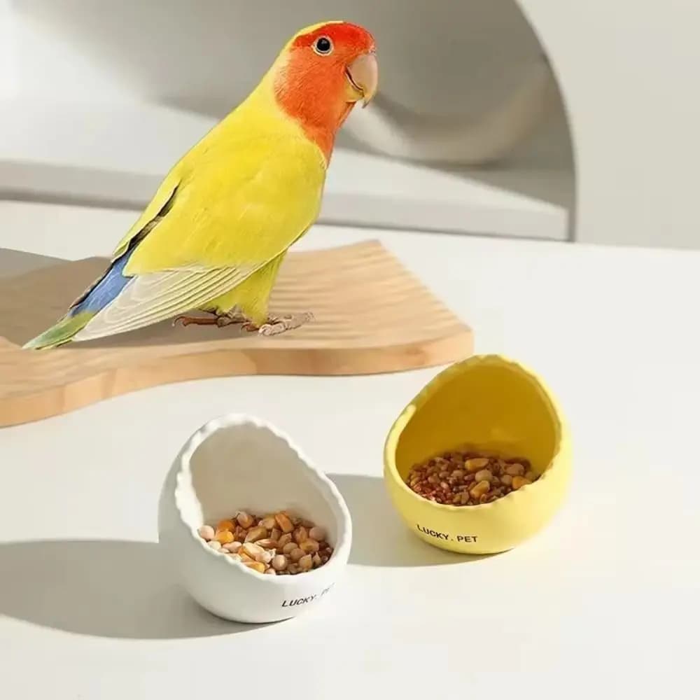 Ciotola per Uccelli a Forma di Uovo in Ceramica, Mangiatoia Creativa per Uccelli, Contenitore per Cibo per Uccelli Carino e Impermeabile