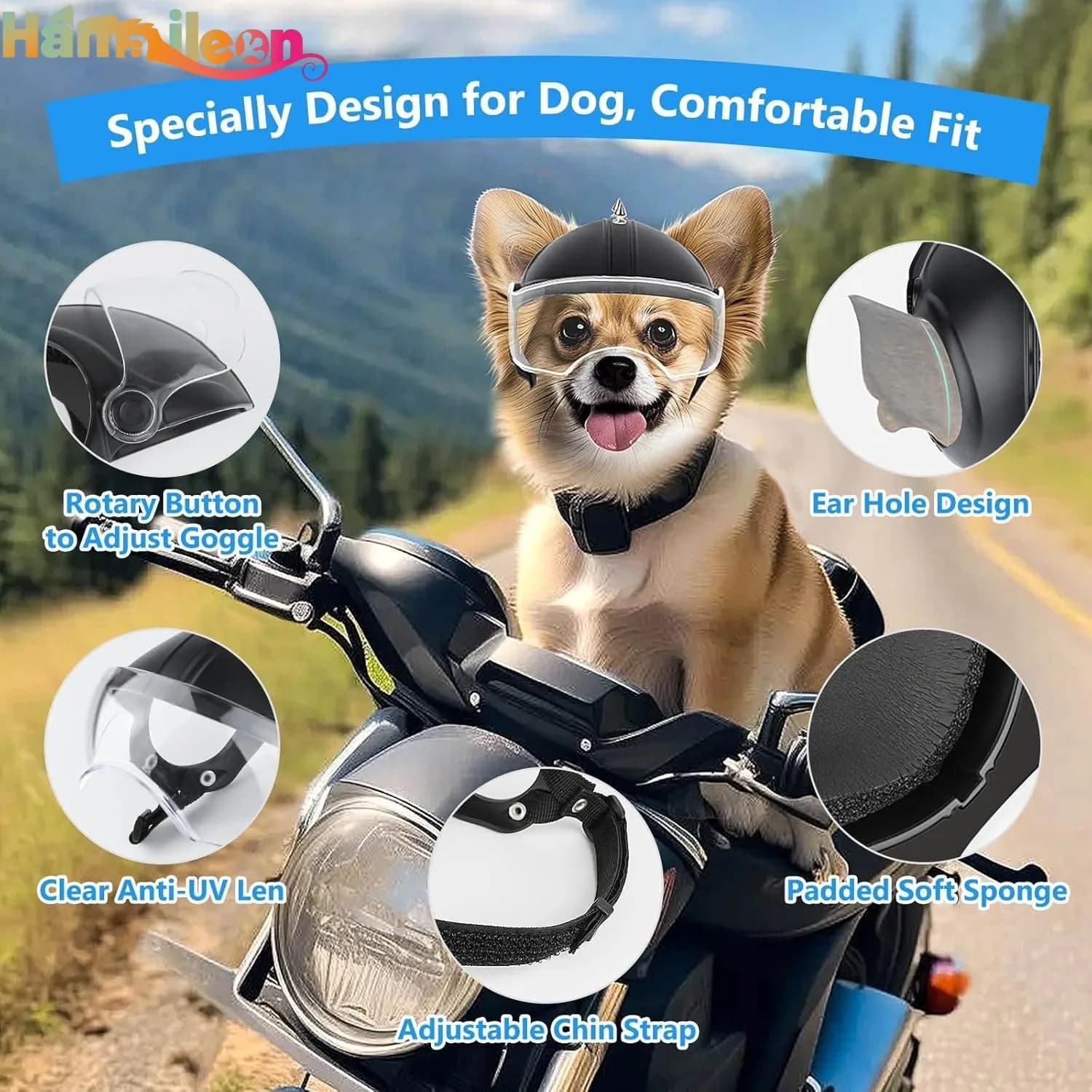 Hamaileon Spikes helmet for small dogs, with glasses with transparent lenses, small dog helmet for medium sized dogs, adjustable rivets