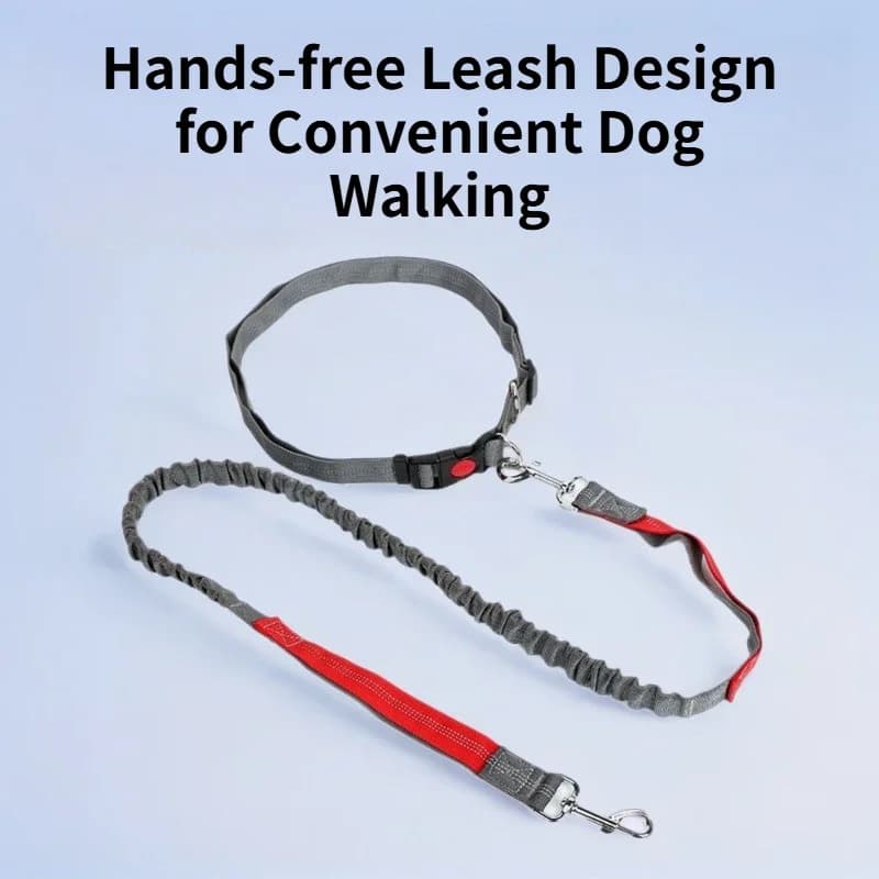 Pet Supplies Sports Multi-Function Dog Bungee Leash Hands-Free Waist Belt Running Rope Dog Walking Leash with Adjustable Strap
