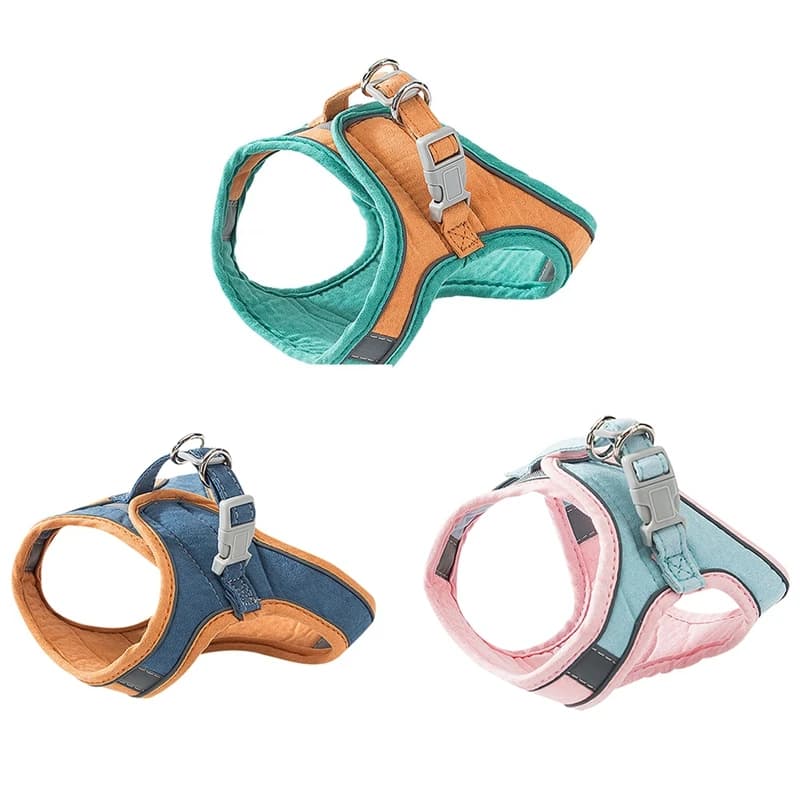 Set Pettorina e Guinzaglio per Gatti e Cani in Pelle Scamosciata, Regolabile, Anti-Trazione, Comoda Pettorina a Gilet per Passeggiate con Cuccioli, Gatti e Cani