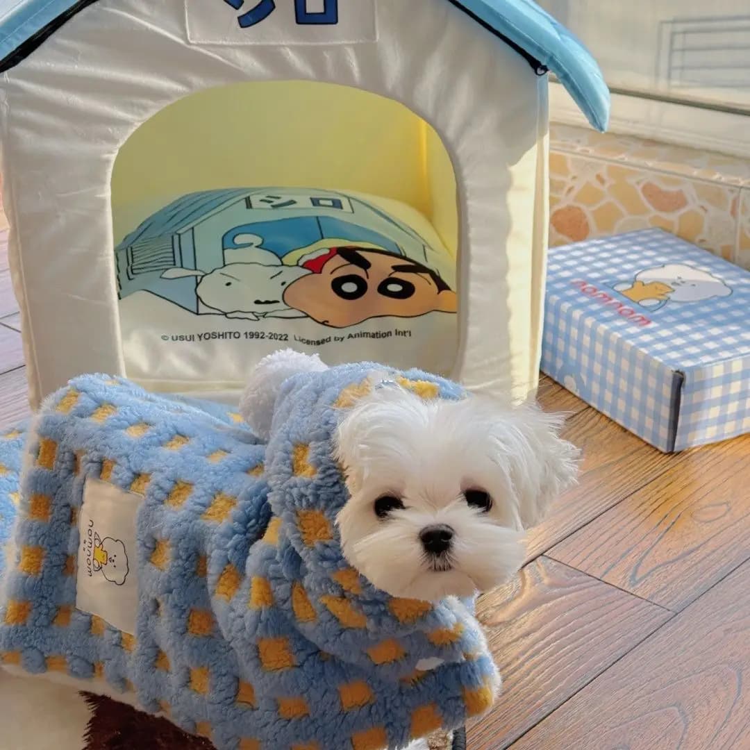 Pigiama per cani da compagnia Accappatoio per dormire Coperta Teddy Velluto Mantello caldo Orsacchiotti per la casa Piccoli cuccioli Gattini Vestiti Coperte per la casa