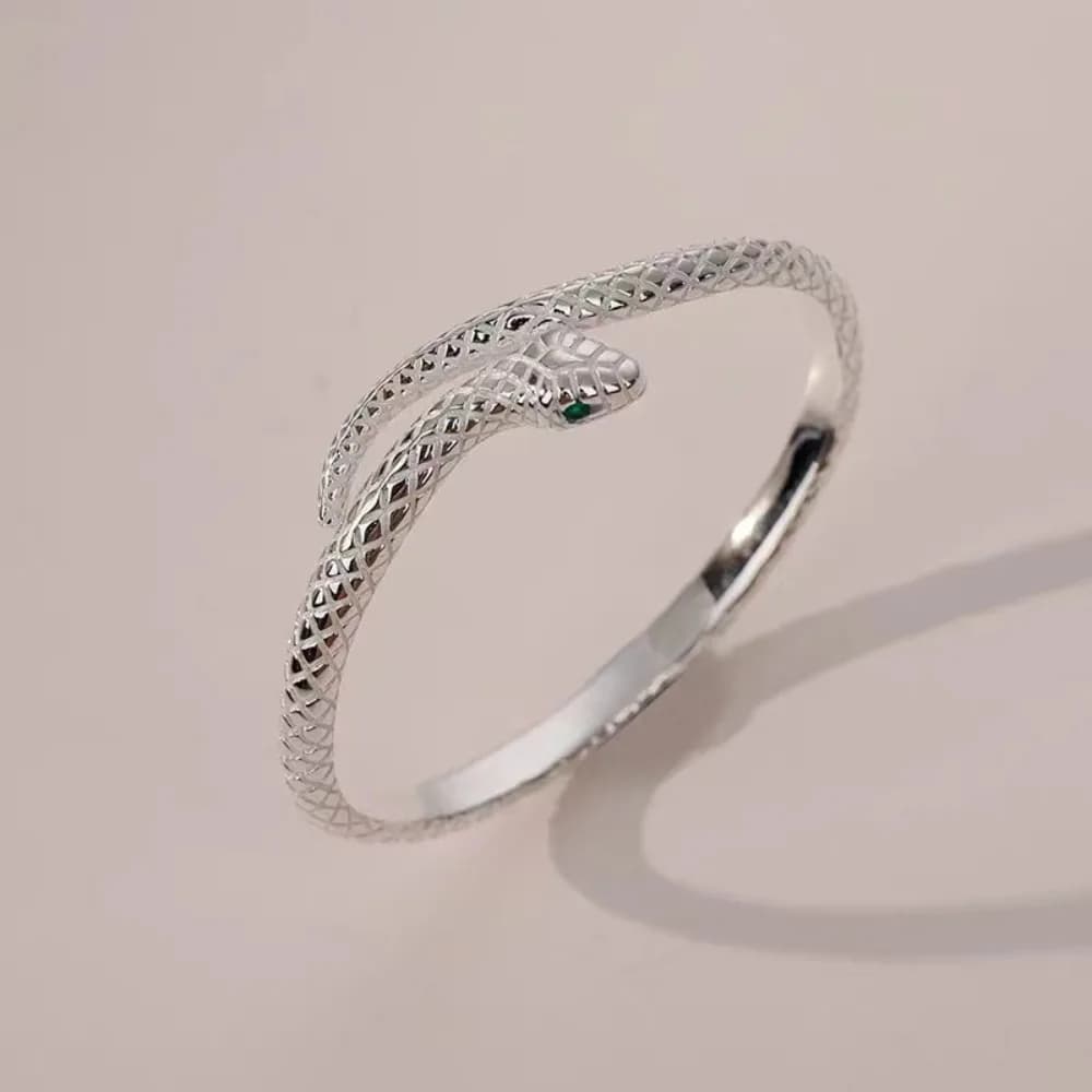 Trendy Party Jewelry Snake Shape Bracelet Gifts Fashion Snake Open Cuff Bangles Punk Adjustable Snake Ring&Ear Studs Wedding