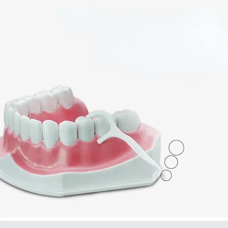 1000 pz/borsa Usa E Getta Dentale Flosser Picks Dente Stick Denti Puliti Pulizia Orale Cura Stuzzicadenti Filo Interdentale Filo