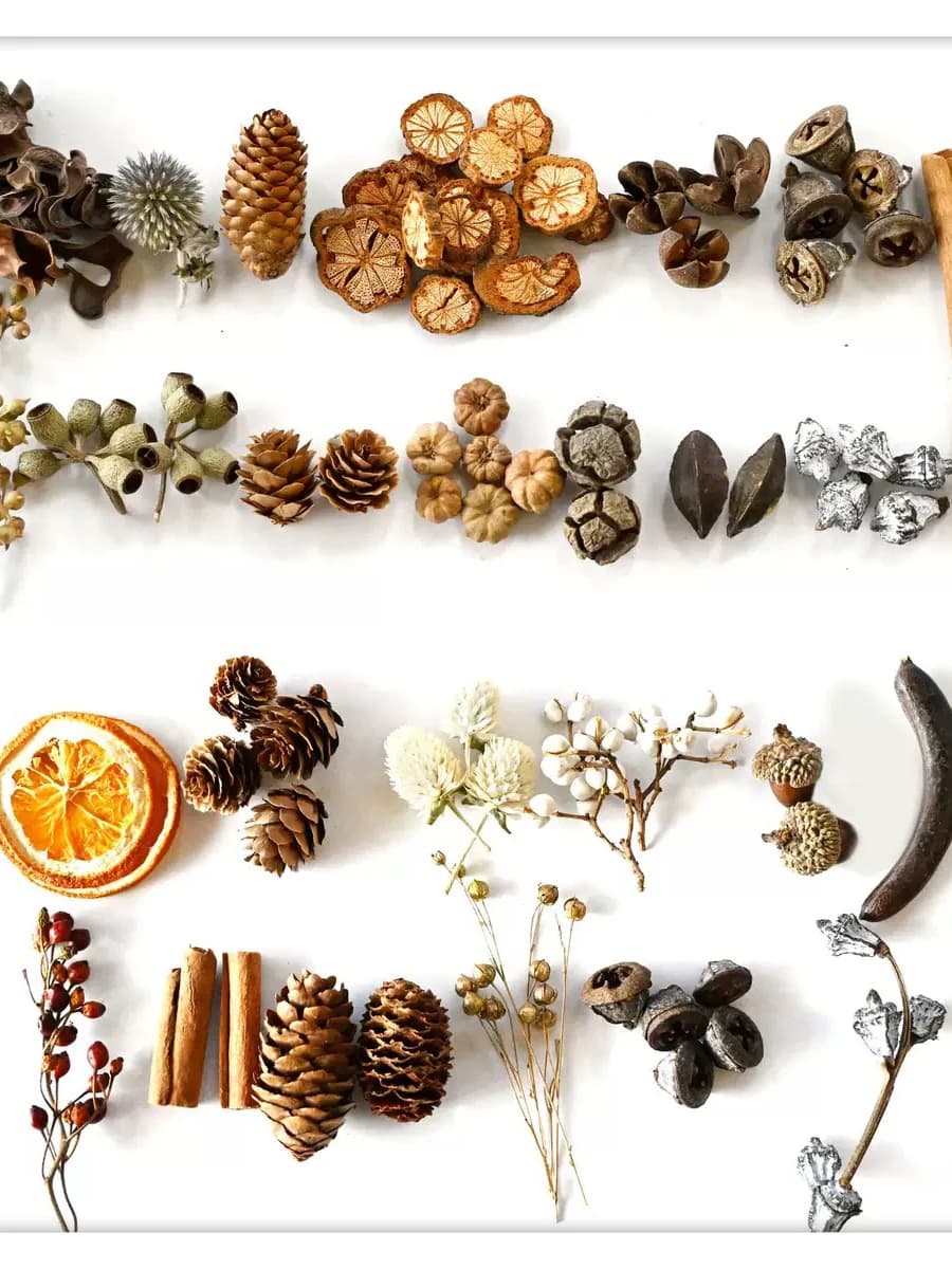 Giocattolo Olfattivo per Cani con Fiori Secchi Autentici e Frutta, Gioco per l'Enrichamento Olfattivo dell'Ambiente, Giocattolo per Cani e Gatti, Giocattolo per Nascondere Cibo