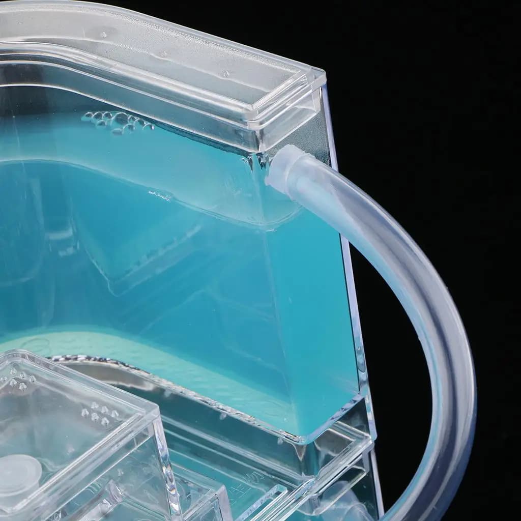Kit Educativo per Bambini: Formicaio Trasparente 3D con Labirinto, Giocattolo Scientifico per l'Apprendimento a Casa