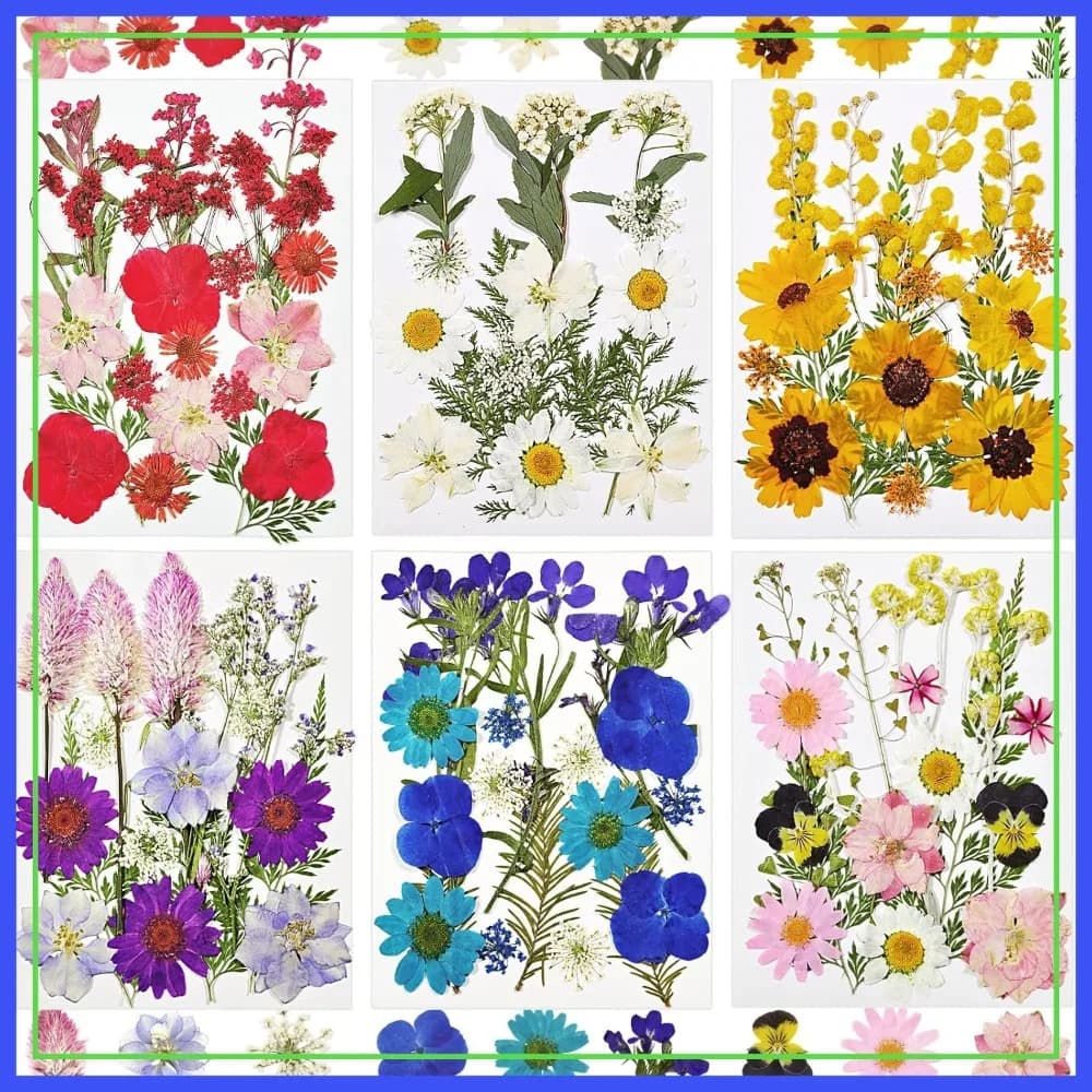 106 Pezzi di Fiori Naturali Essiccati per Resina, Fiori Pressati Sottovuoto per Gioielli in Resina Epossidica, Sapone, Creazione di Candele