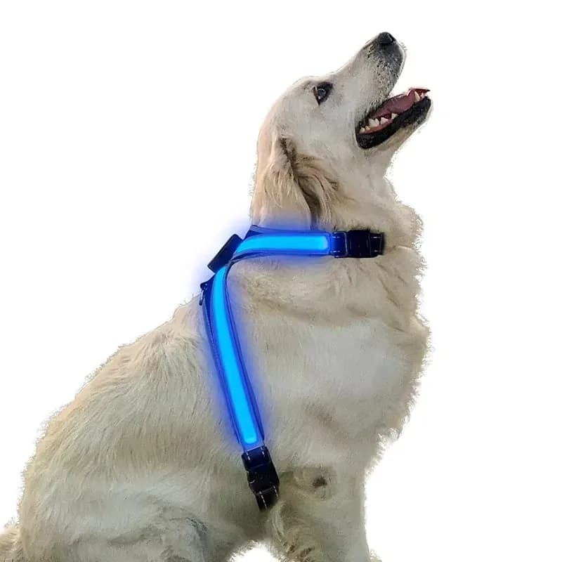 Set Pettorina e Guinzaglio per Cani con LED Cambia Colore, Gilet Riflettente Regolabile