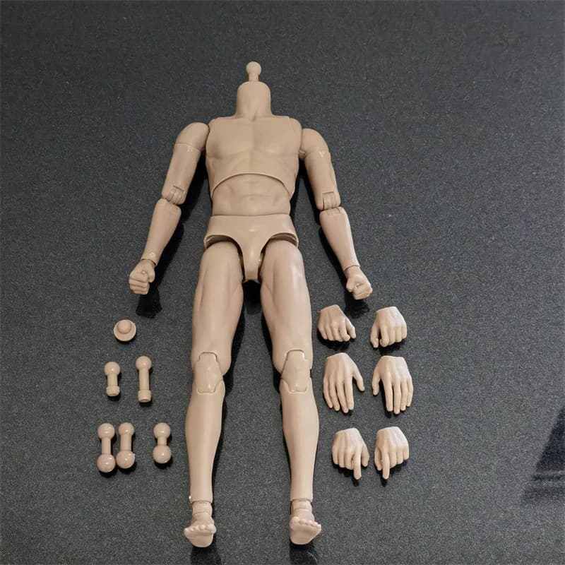 1/6 Scale Joint Movable Muscle Body Model for 12" Male Soldier Narrow Shoulder Action Figures Toy Painting Ornament