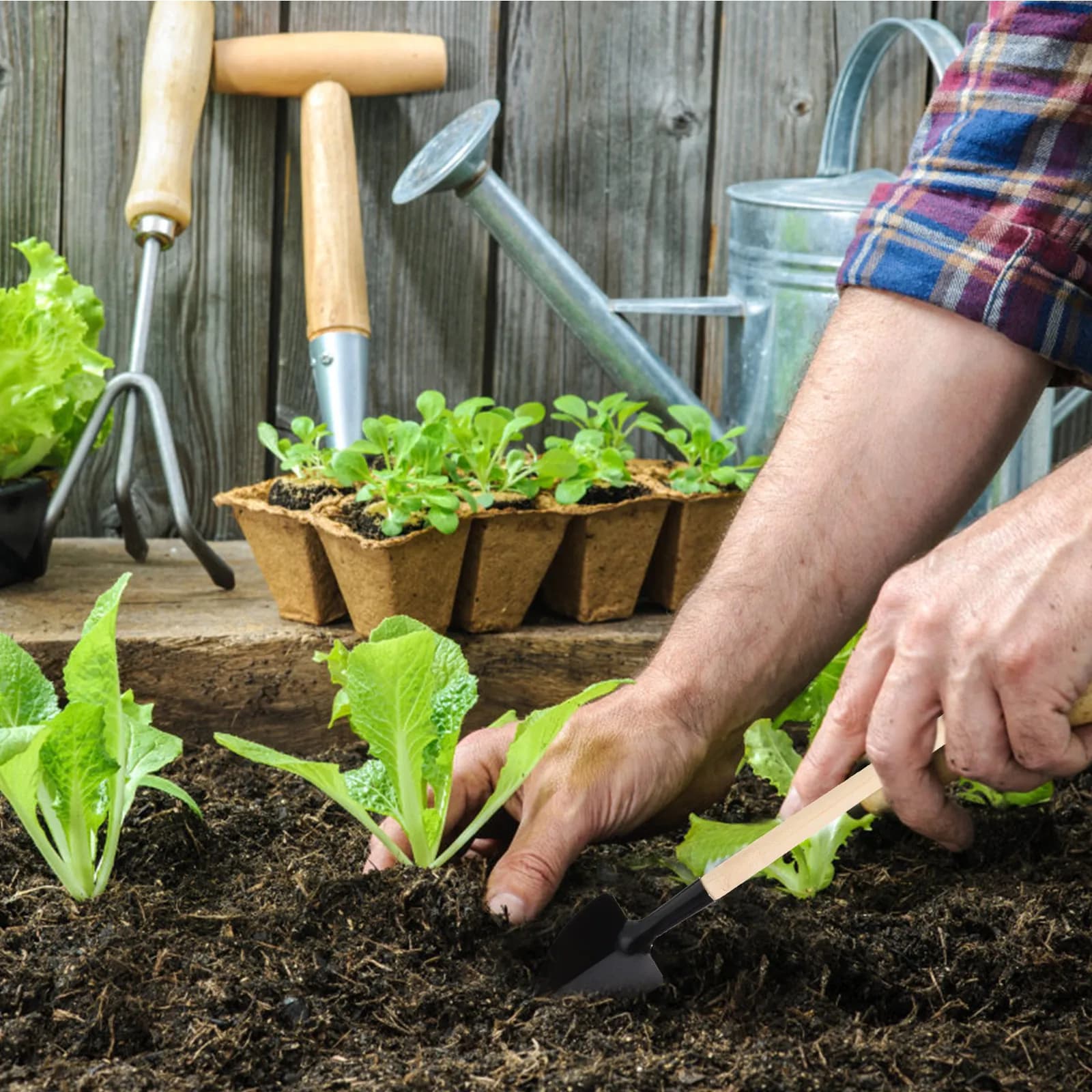 Set di 1 Mini Attrezzi da Giardinaggio Portatili per Piante Grasse, Bonsai, Piantumazione, Trapianto, Diserbo, Scavo, Potatura e Dissodamento del Terreno