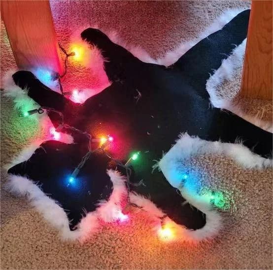 Tappeto per gatti fritti Tappeto per gatti per le vacanze di Natale Luce a LED Divertenti luci natalizie Decorazione Tazza Tappeto per gatti fritti per camera da letto