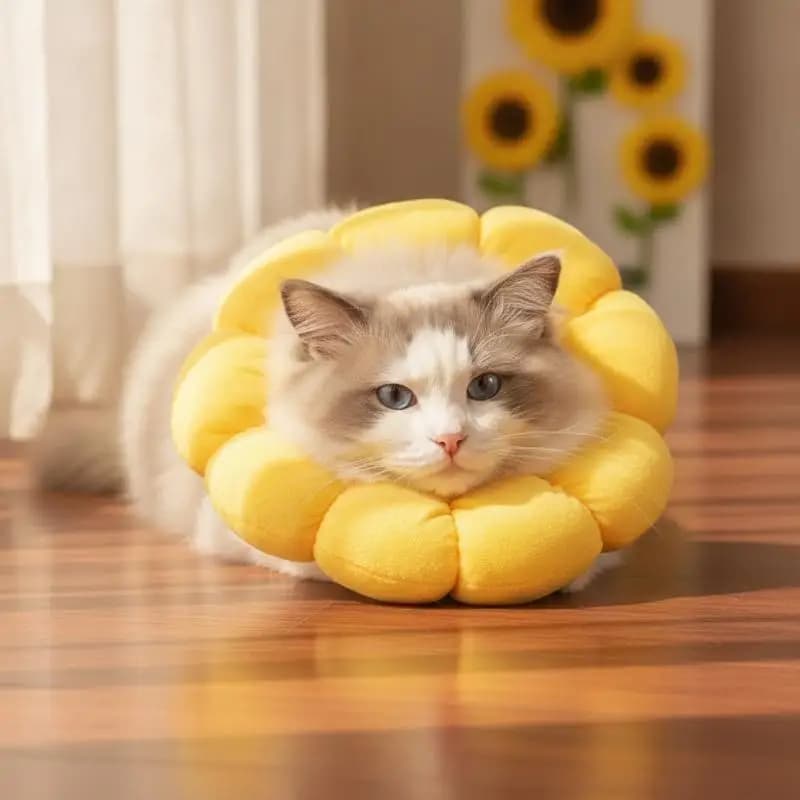 Lightweight Adjustable Pet Elizabethan Collar Anti-Lick Anti-Bite Cat Recovery Collar for Surgery Wound Healing Grooming