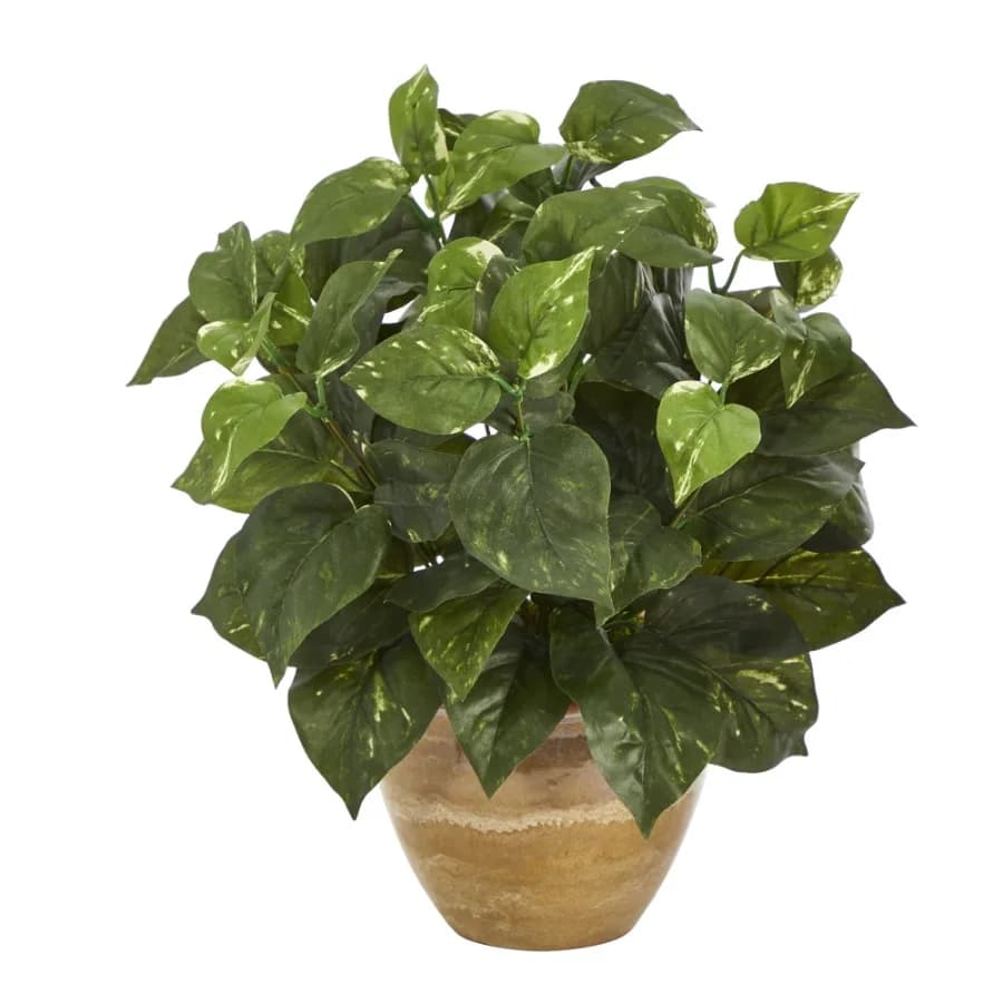 14" Pothos Artificial Plant in Ceramic Planter in Green
