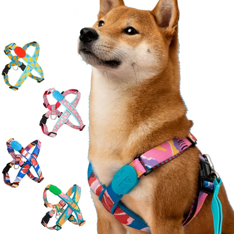 Pettorina per cani premium Explorer Imbracatura per cani a forma di Y Imbottitura morbida in nylon resistente regolabile Fibbie in metallo e manico in pelle per animali domestici