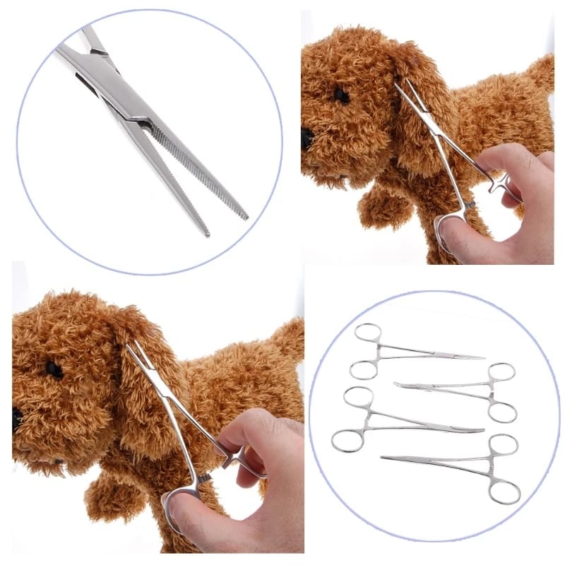 Pet Gromming Scissors Stainless Steel Scissors for Pet Dog for Cat Hair Trimming Kitten Puppy Grooming Scis