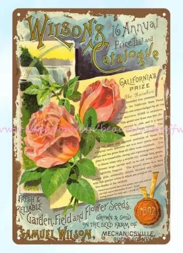1892 Rose, garden flower seeds with rainbow cascade Samuel Wilson, Mechanicsville