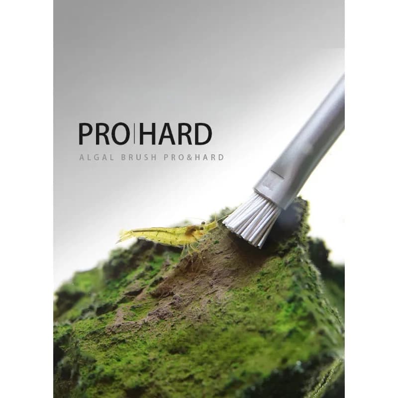 PRO-BRUSH Algae cleaning tool for algae cleaning waterscape on rocks and wood 15cm 23cm