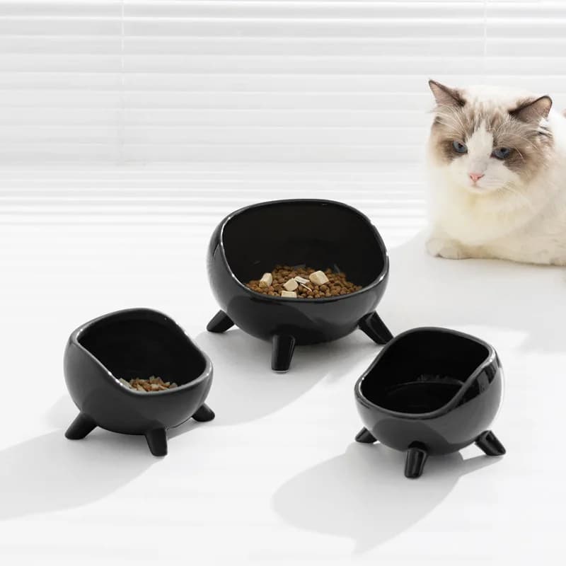 Ciotola in ceramica per gatti, protezione cervicale, ciotola per cibo, ciotola per acqua, accessori per animali domestici, antiurto
