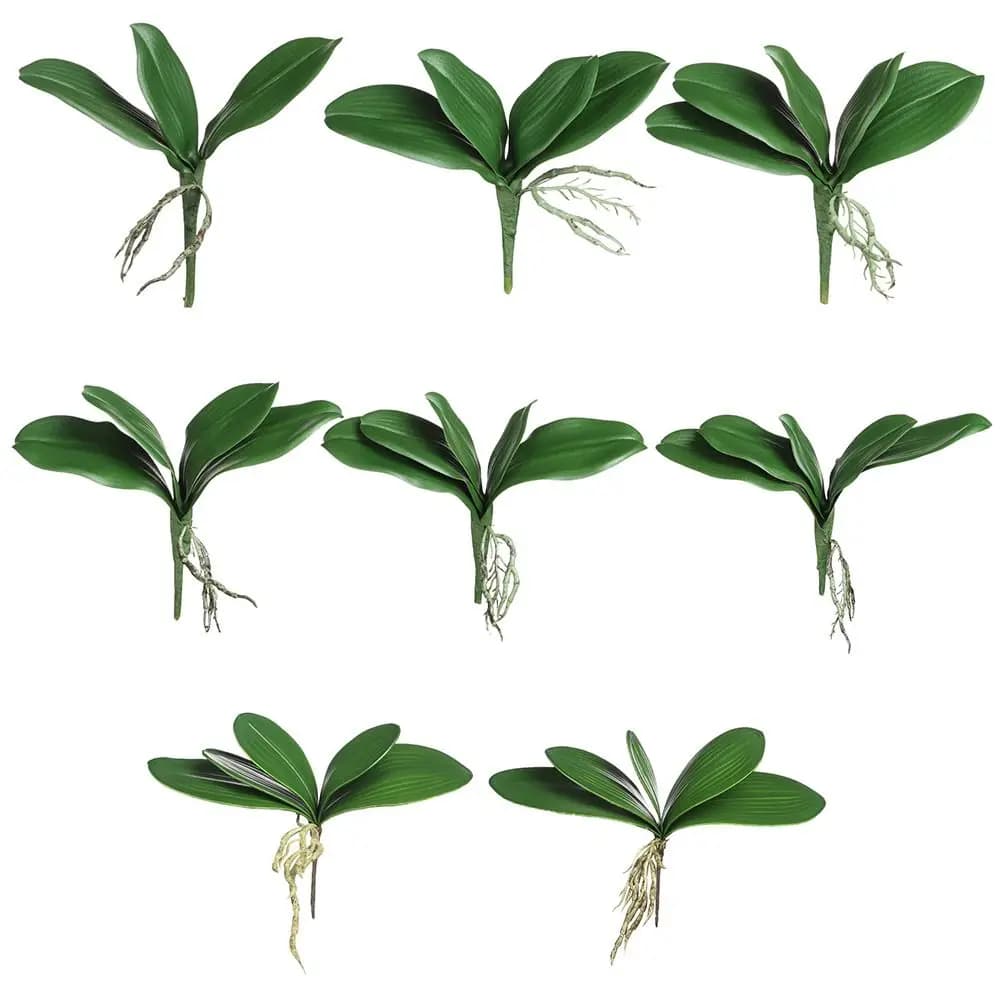 Simulation Plant Green Artificial Plant Real Touch Plastic Plastic Leaves Real Touch Orchid Home Decor