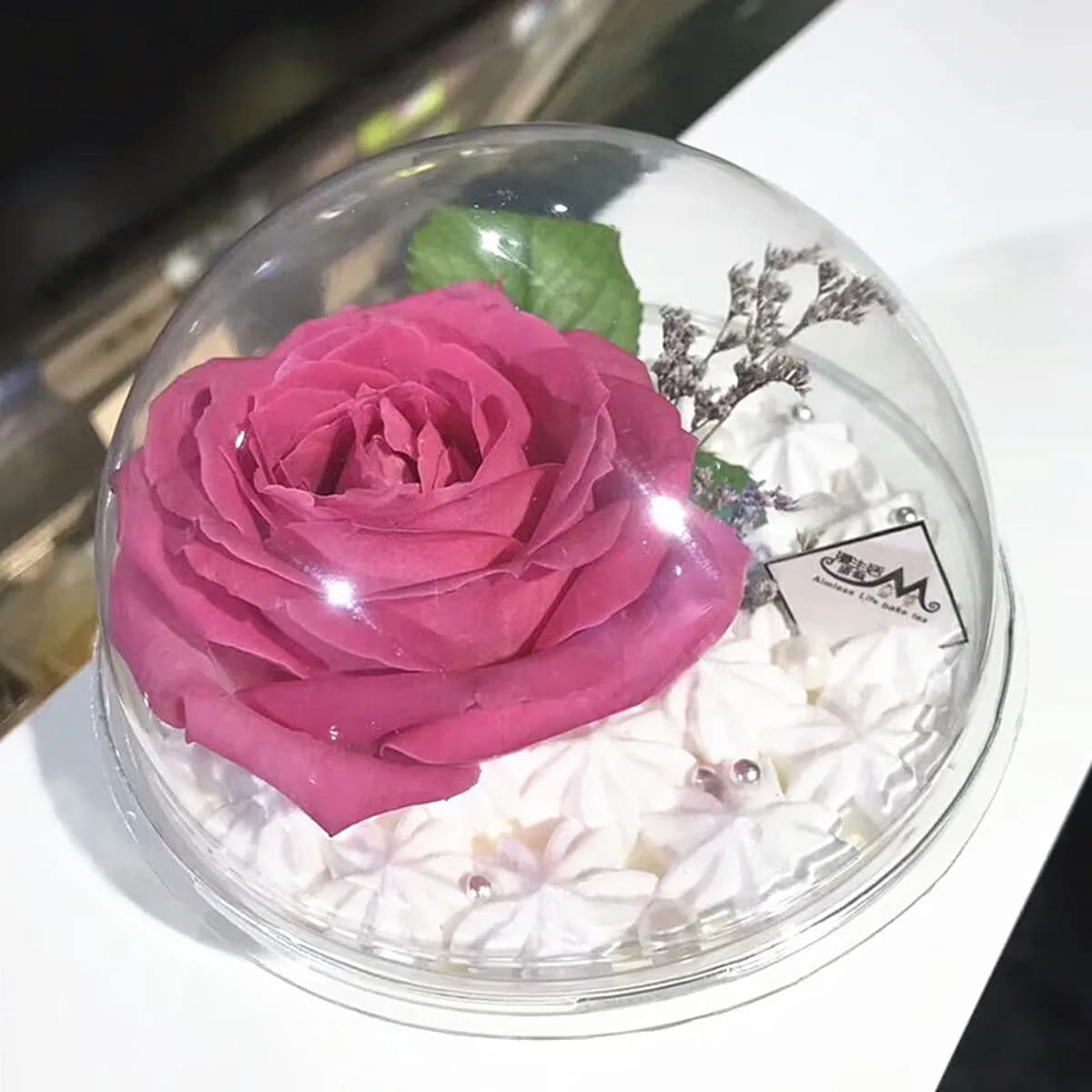 10Pcs Transparent Food Storage Container Ball Shape Mousse Cake Box Round Portable Baking Supply for Cakes Cookies Bread Dessert