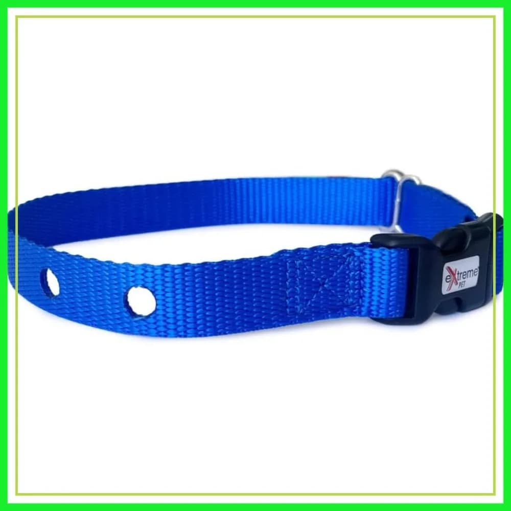 Cinturino per collare per cani in nylon resistente - Compatibile con la maggior parte dei recinti elettrici e dei ricevitori per addestramento - Blu