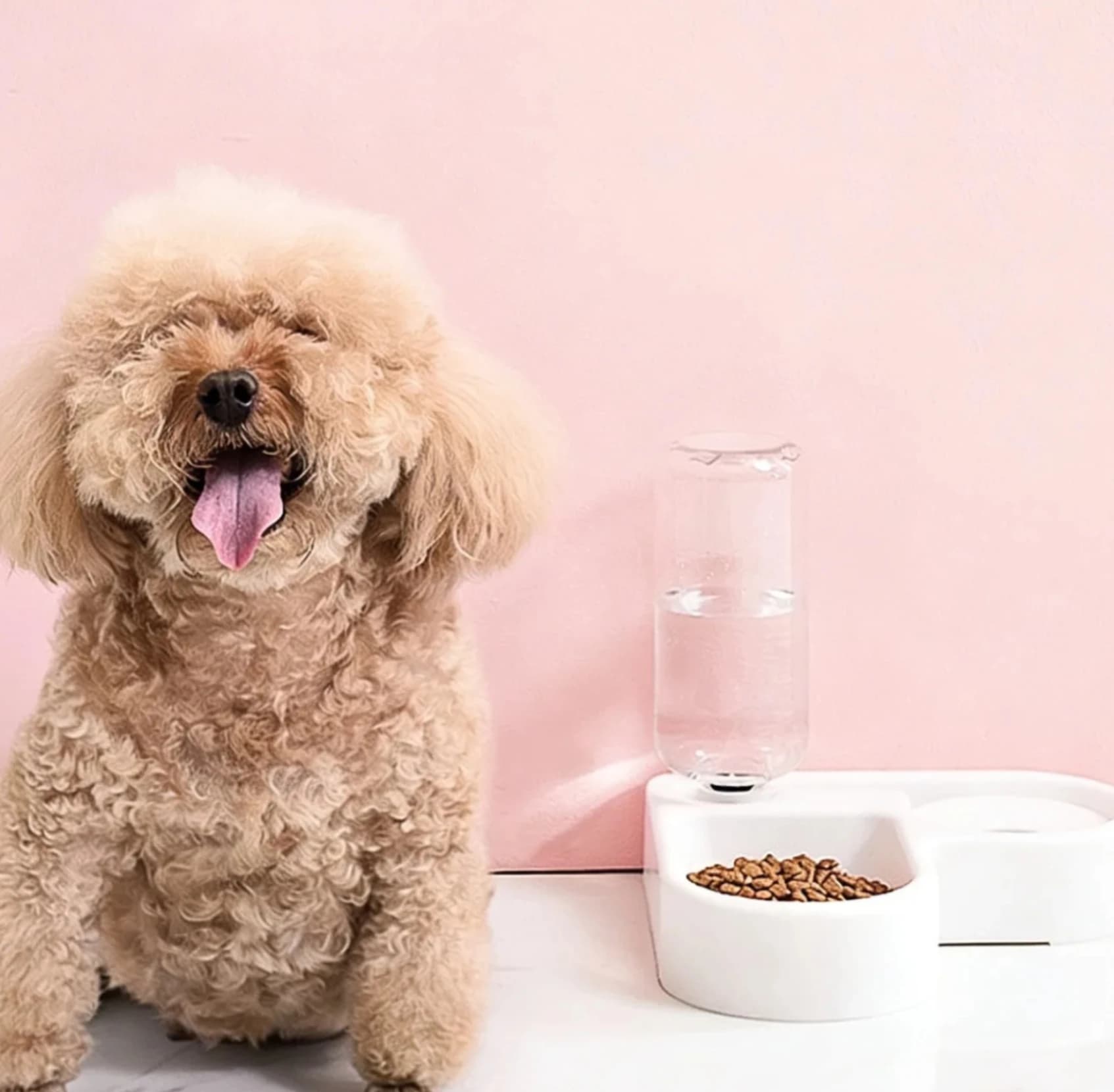 Ciotola Doppia per Cani e Gatti - Set di Ciotole per Alimenti per Animali Domestici, Adatte per Gatti e Cani di Piccola Taglia