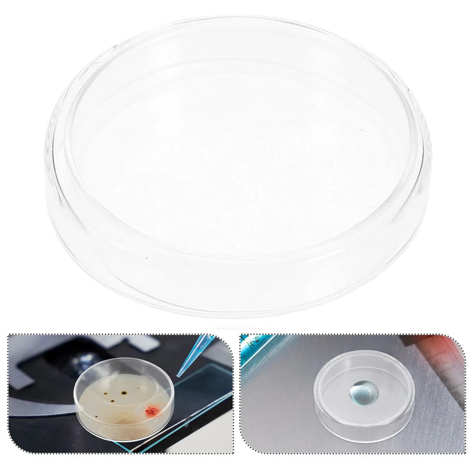 10 Piastre di Coltura in Vetro Riutilizzabili da 90 mm con Coperchi Ventilati ad Alta Trasparenza per Preparazione Microbiologica di Agar Microscopico
