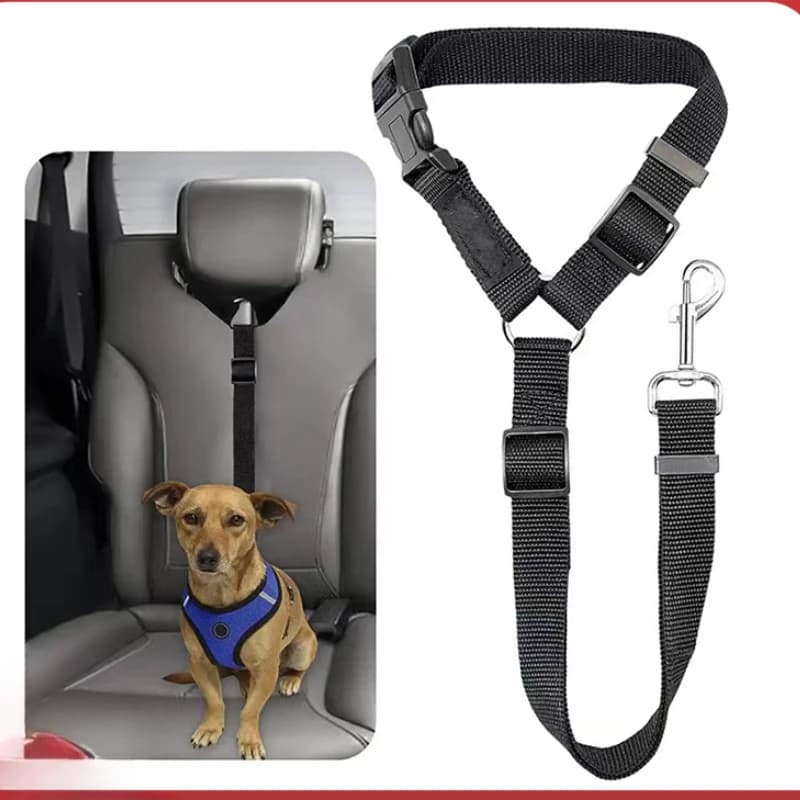 Cintura di sicurezza per auto per animali domestici due in uno tinta unita guinzaglio in Nylon cintura di sicurezza per sedile posteriore regolabile collare per imbracatura per cani accessori per animali domestici
