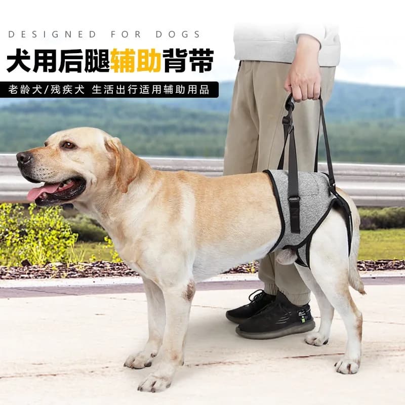 Pet Hind Leg Support Harness Dog Mobility Lift Sling Walking Assist Strap for Senior Injured Dogs Outdoor Aid Leash