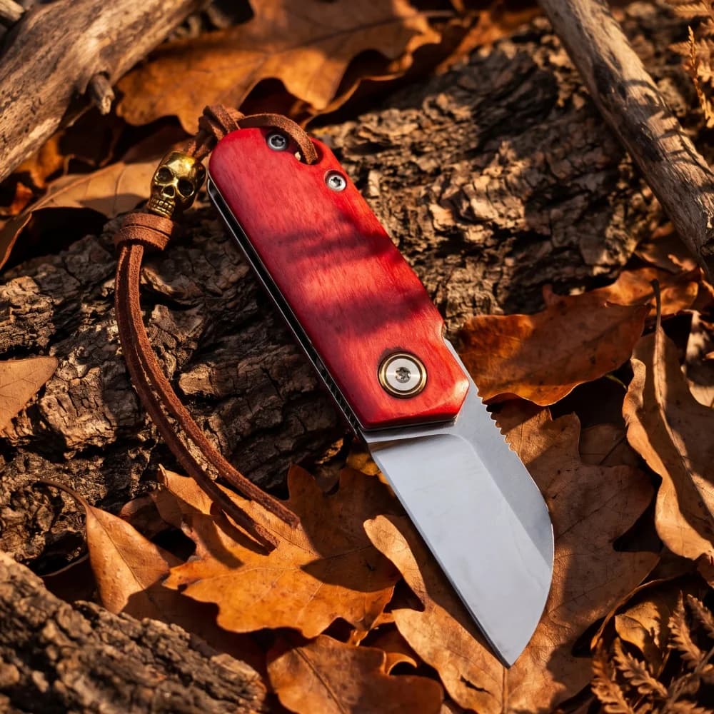 2 Models Mini Outdoor Folding Knife Multi-functional Kitchen Small Fruit Cutting Knives EDC Lightweight Camping Preferred Tools