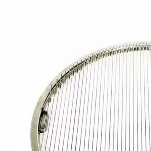 Griglia per barbecue in acciaio inossidabile 304 con rete a molla, griglia per barbecue per campeggio, fornello da esterno, strumento per cucinare, 29 cm, 33 cm, argento