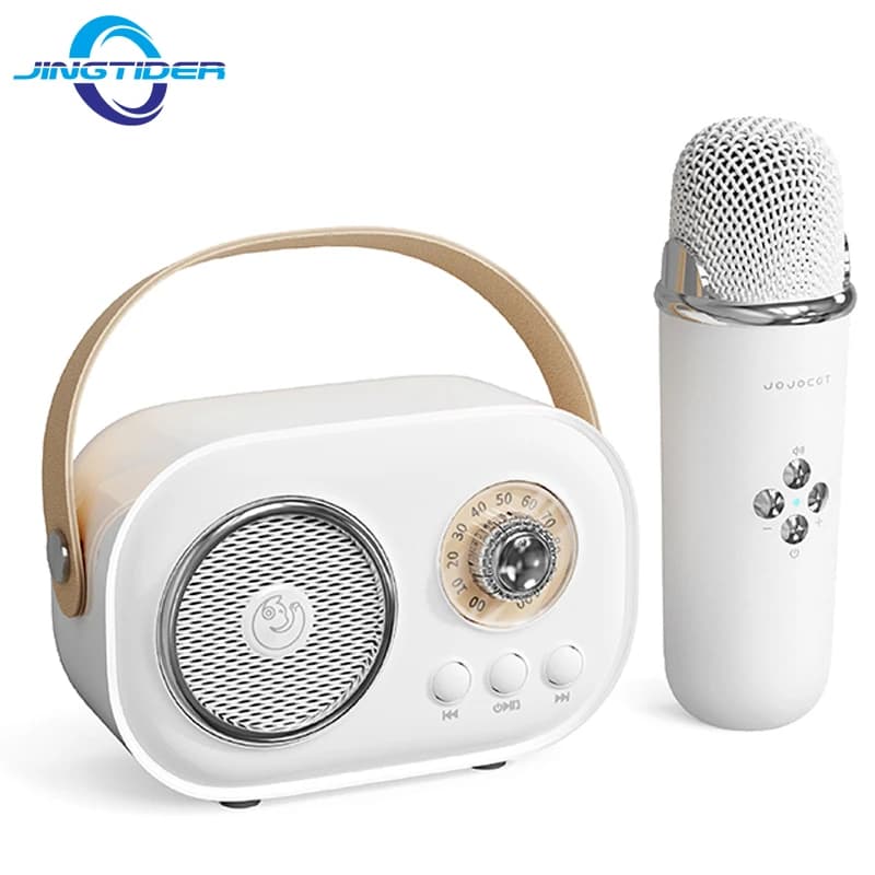 Mini altoparlante Bluetooth macchina per karaoke portatile KTV canto domestico con microfono wireless suono stereo HIFI cassa di risonanza vivavoce