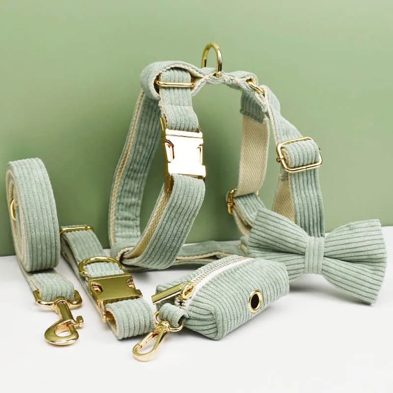 Set Collare e Guinzaglio per Cani in Corduroy Verde Chiaro con Targhetta Personalizzata Incisa - Accessori per Animali Domestici Corduroy03