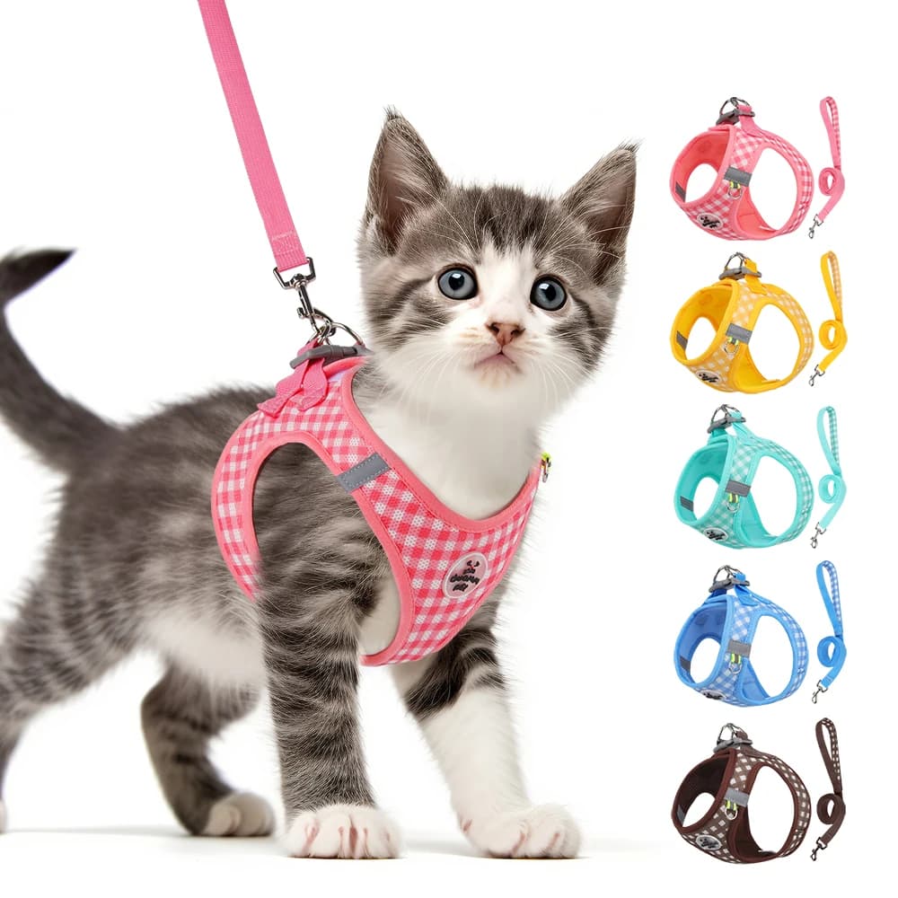 Imbracatura per gatti Imbracatura luminosa per cani di piccola taglia Imbracatura per cani di peluche Imbracatura per cani di piccola taglia personalizzata