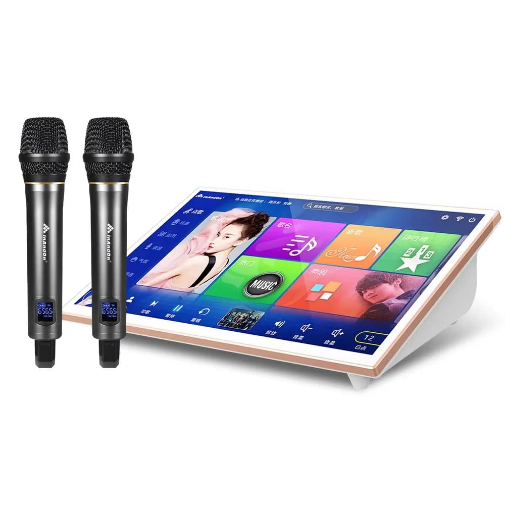 Nuova macchina per karaoke KTV da 19 pollici Touch screen in oro bianco Sistema Kareoke domestico portatile da 4 TB con microfono Lettore di karaoke WiFi