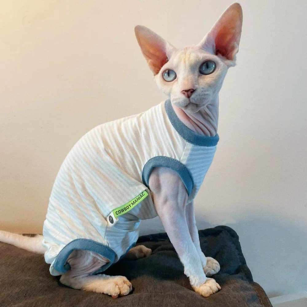 Gilet a righe blu con protezione solare a quattro gambe per T-shirt senza maniche sottile e traspirante Sphinx Cat Abito in morbido cotone per Devon Rex