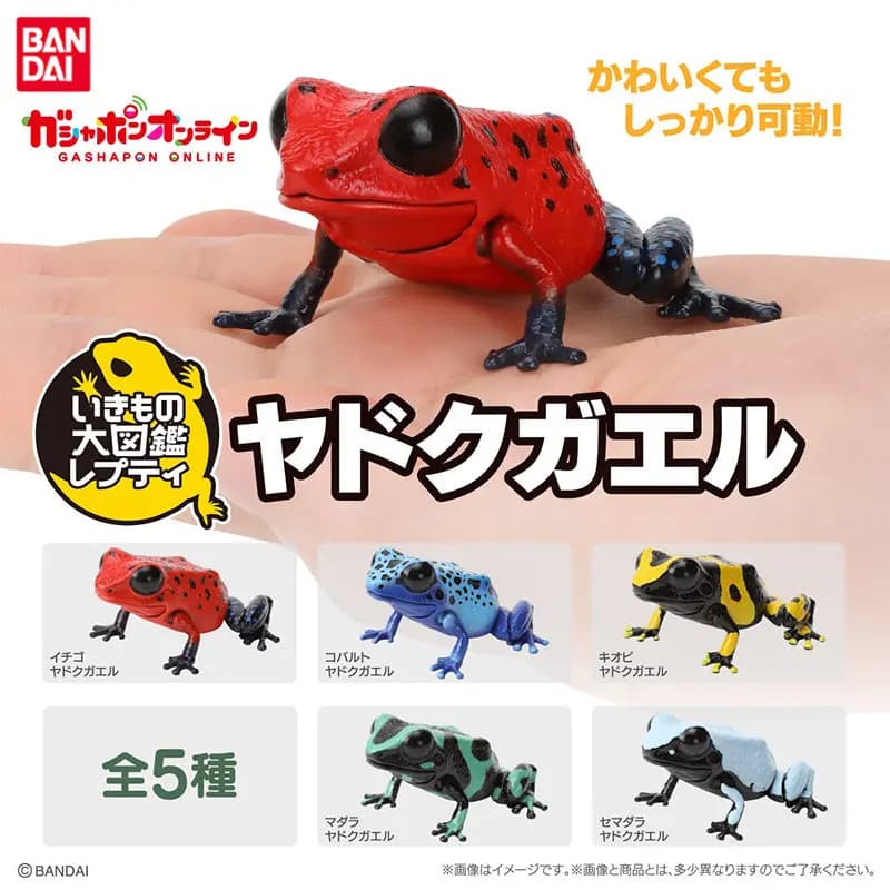 Autentico Set di Modellini di Animali Anfibi (Rana Freccia) della Serie Gashapon: Enciclopedia della Biologia, Accessori Giocattolo, Regali da Collezione per Fan