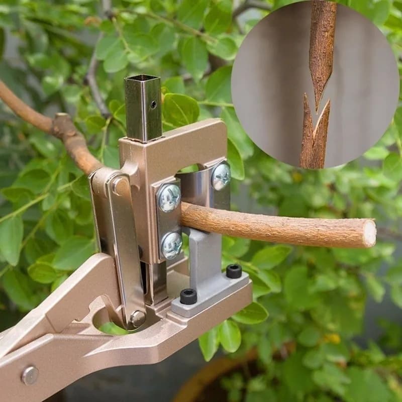 Professional Pruning Shears for Garden Trees and Vines – Stainless Steel Blades, Non-slip Aluminium Alloy Handles;