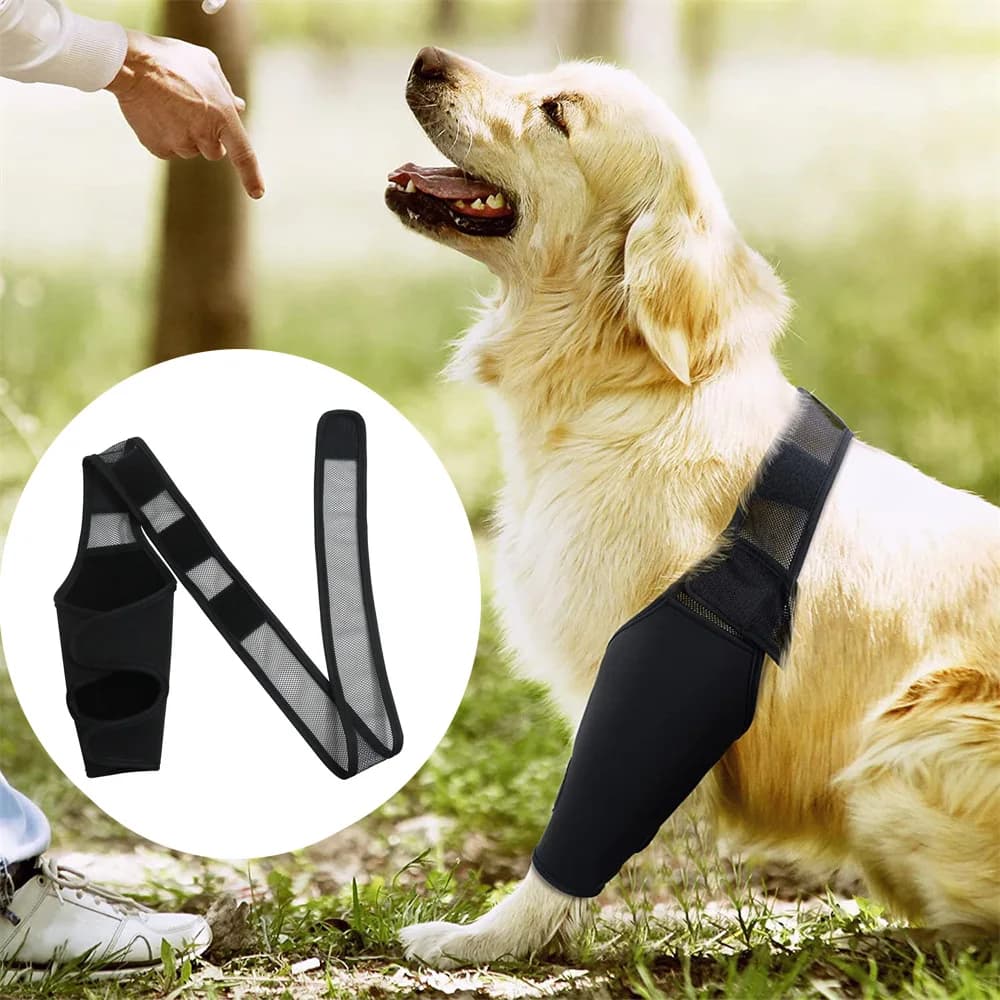 Supporto per ginocchio per cani, per dolori articolari, dolori muscolari, supporto per zampe posteriori, per cani anziani, disabili o feriti.
