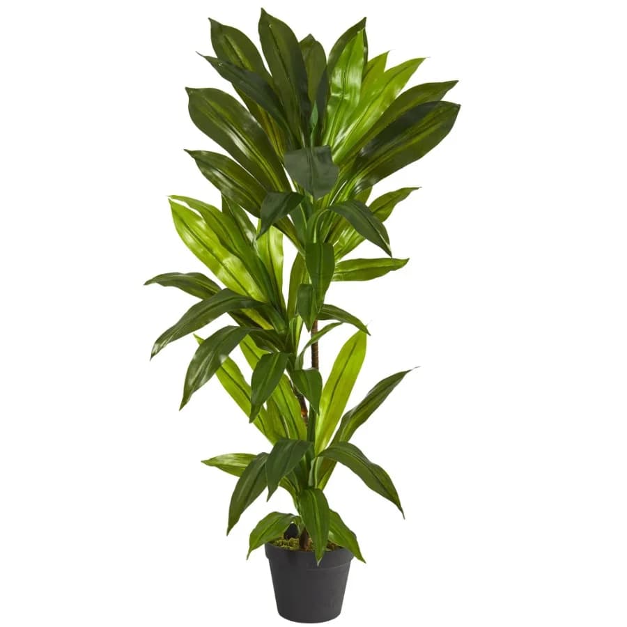 Green 3' Dracaena Artificial Plant Real Touch
