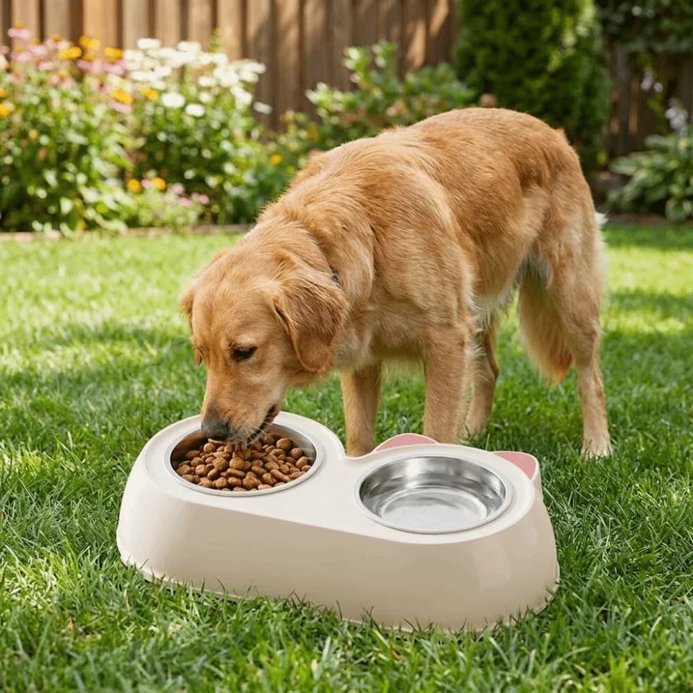 Stainless Steel Pet Double Bowls Non-Skid Base Plastic Pet Water Feeder Detachable Leak-Proof Cat Food Bowls Home Use
