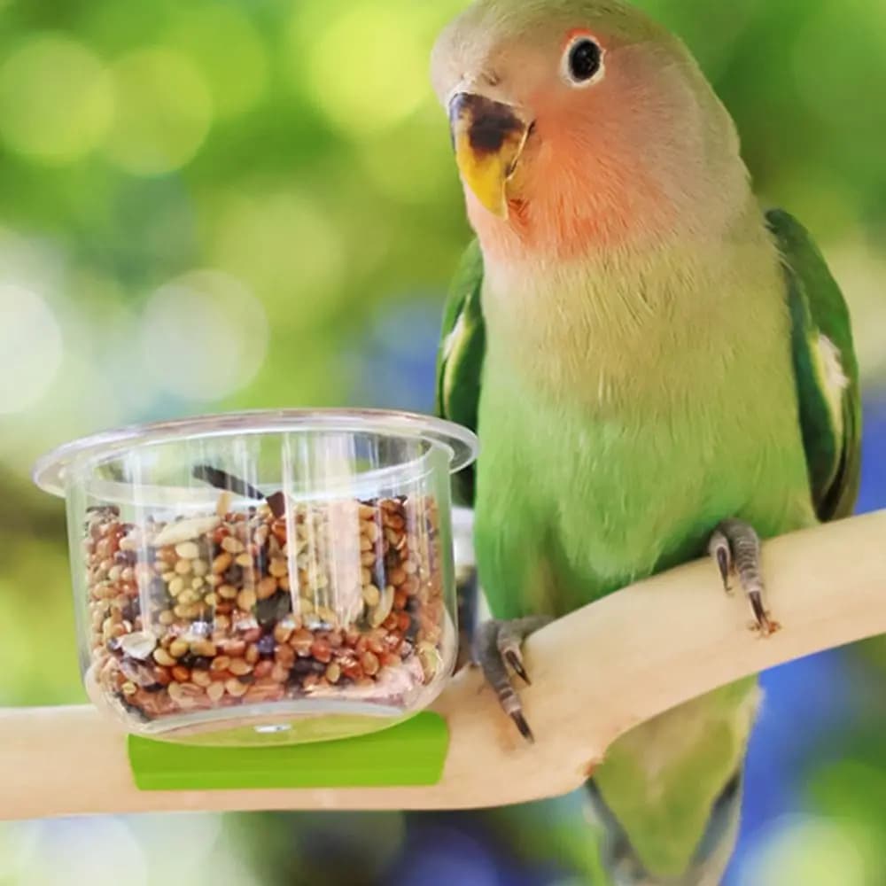 Pet Supplies Transparent Bird Cage Feeder Wear-resistant Non-slip Parrot Food Bowl With Clip Plastic Water Bowl Bird Cage
