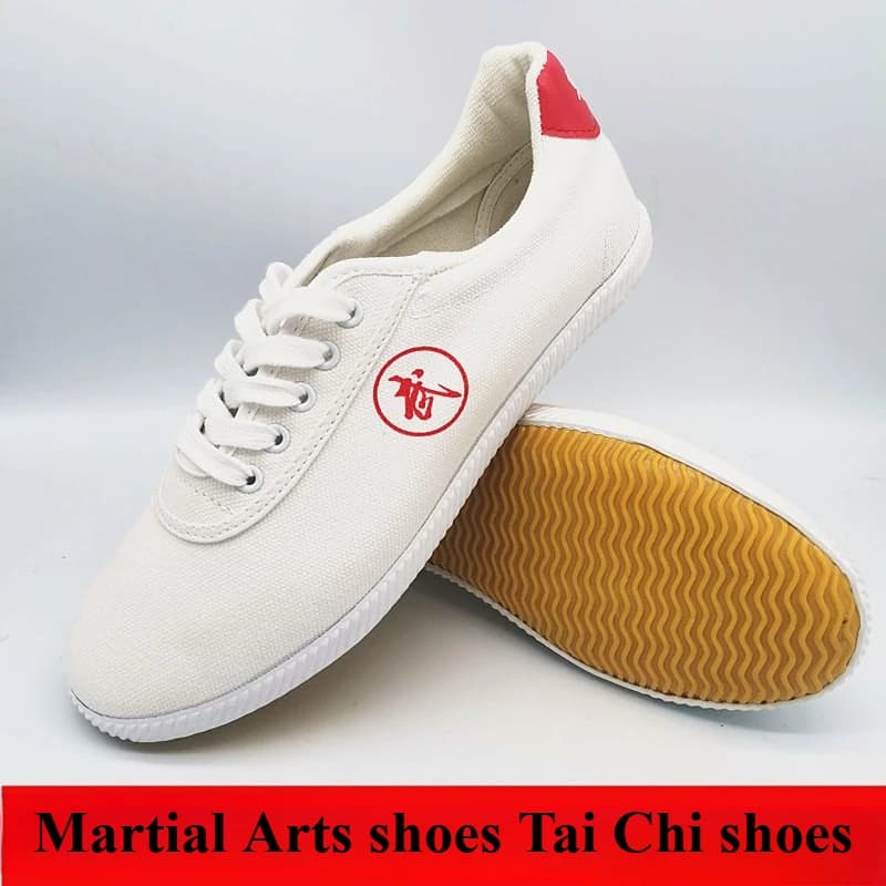 Scarpe da uomo con suola morbida, scarpe da Tai Chi in tela con lacci, scarpe da allenamento Taekwondo, suola in gomma antiscivolo resistente, scarpe da arti marziali da uomo