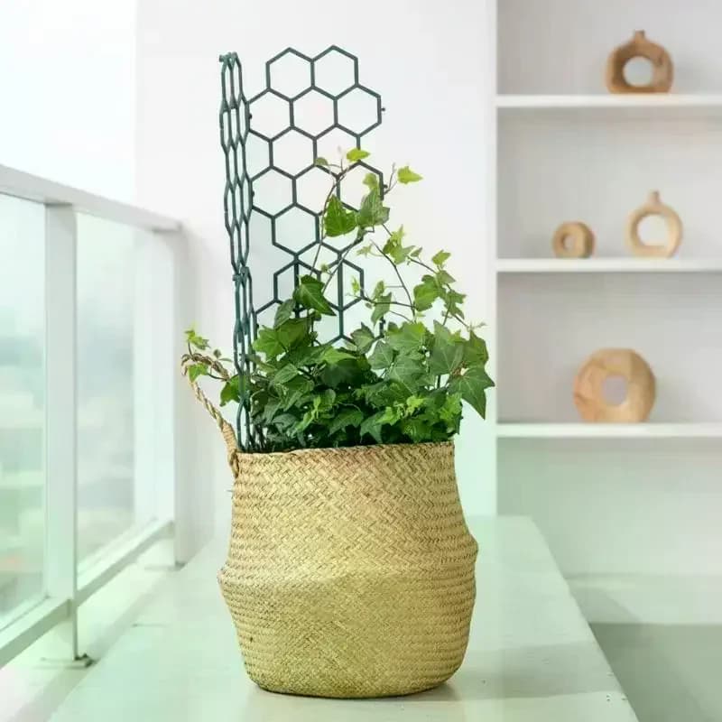 Set di tralicci da giardino, 1 set da 5 pezzi, supporto in plastica a nido d'ape per piante rampicanti in vaso, adatto per uso interno ed esterno
