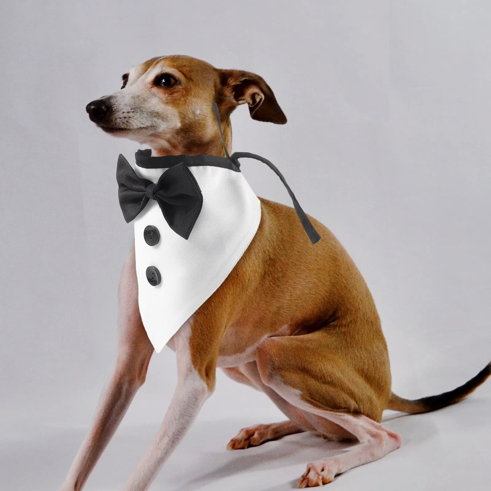 Bandana Triangolare Grande per Cani di Taglia Grande, Sciarpa Multifunzionale, Bavaglino Raccogli Saliva, Papillon per Matrimonio, Costume per Feste per Cani