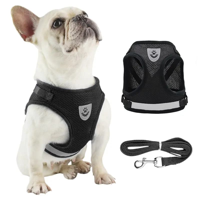 Set Regolabile di Pettorina e Guinzaglio per Cani e Gatti, Pettorina a Gilet per Cuccioli, Guinzaglio per Gatti, Collare per Gatti, Accessori per Animali Domestici